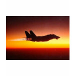 F-14 TOMCAT IN AFTERBURNER t-shirts
