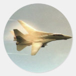 F-14 TOMCAT WITH VAPOR ROUND STICKER
