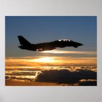 F-14D Tomcat Posters