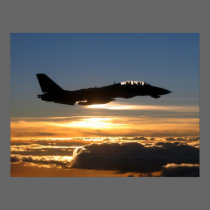 F-14D Tomcat posters