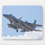F-15D Eagle TY AF 80 0056 Approach mousepad