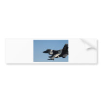 F-16 FALCON IN CAMO bumper stickers