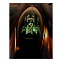 F-16 Pilot Poster posters