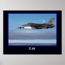 F 16 Print
