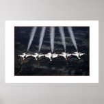 F-16 Thunderbirds Print