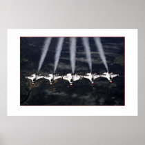 F-16 Thunderbirds Print