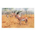 F.W. Kuhnert - Grant's Gazelle posters by LisasLair F.W. Kuhnert - Grant's Gazelle posters