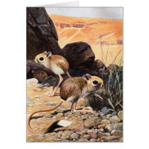 F.W. Kuhnert - Lesser Egyptian jerboa cards by LisasLair F.W. Kuhnert - Lesser Egyptian jerboa cards