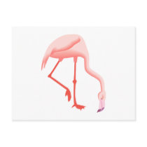 Fabio Flamingo postcards
