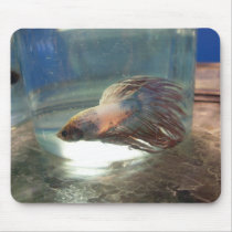 Fable the Fish Mouse Pad