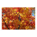 Fabulous Fall posters by angelspiritme Fabulous Fall posters
