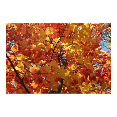 Fabulous Fall Posters by angelspiritme