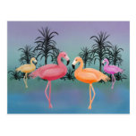Fabulous Flamingos Post Card