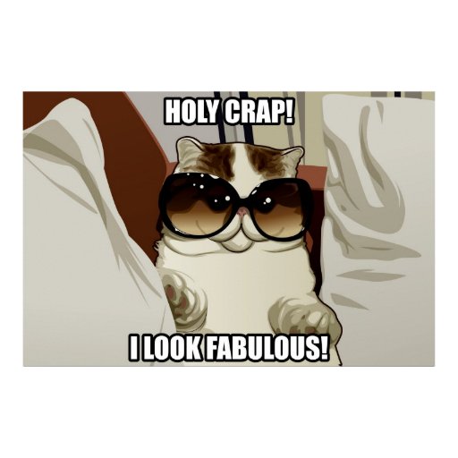 Fabulous Glasses Cat Poster (pt. 2) Zazzle