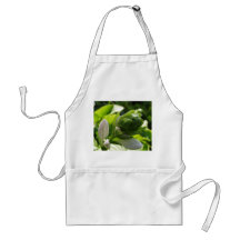 Fabulous Hosta Apron