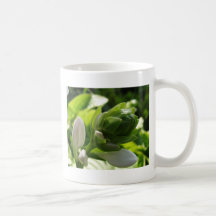 Fabulous Hosta Mug