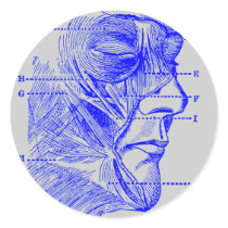 Face Diagram stickers by twelfthhouse Face Diagram stickers