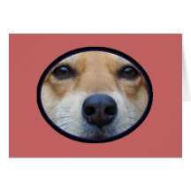 Face in a circle Blank Card