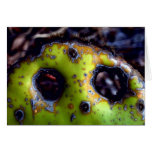 Face in cactus greeting card