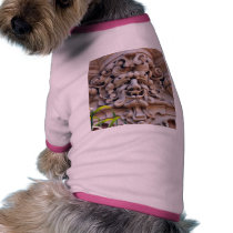 Face In Stone On Buildings Wall pet clothing