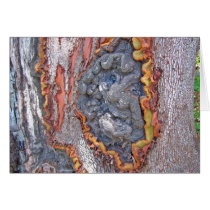 Face in the Tree cards