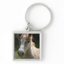 face of foal keychains