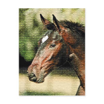 Face of Horse Mosaic Tiles Postcards