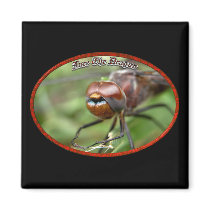 Face The Dragon magnets