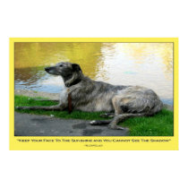 Face The Sunshine, print by WiscMeBrit Face The Sunshine, print
