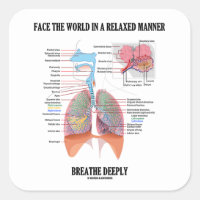 Face The World In A Relaxed Manner Breathe Deeply Square Sticker
