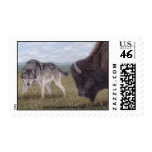 Face to Face Wolf & Buffalo medium postage stamp