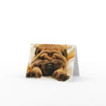 Facelift Shar-pei Card