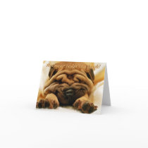Facelift Shar-pei Card by elizdesigns Facelift Shar-pei Card