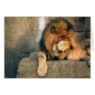 Facepaw Card card