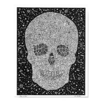 Faces in Face Poster posters
