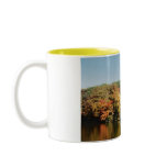 FACES IN THE TREES mugs