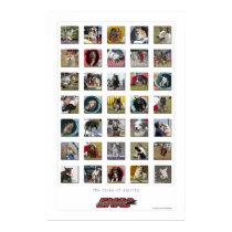 Faces of Agility - EMAC Edition posters by JansenPhotography Faces of Agility - EMAC Edition posters