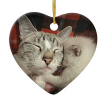 Faces of Foster Pets Ornament