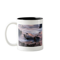 Faces of the earth mugs