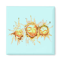 Faces of the Sun Magnets