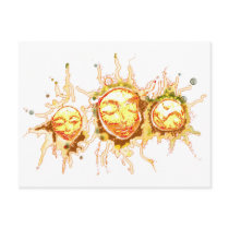Faces of the Sun Postcards