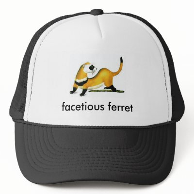 facetious ferret mesh hats by