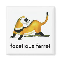 facetious ferret magnets