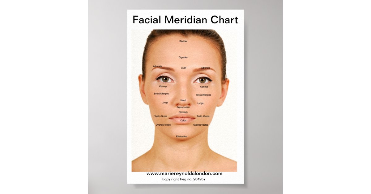 Facial Meridian Chart Poster Zazzle