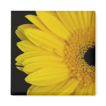 Facing Simpleness Magnet magnets