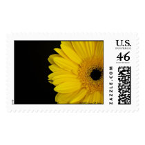 Facing Simpleness Postage Stamp