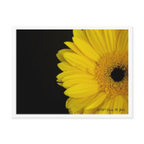 Facing Simpleness Postcard