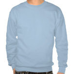 facing the facts pull over sweatshirts