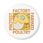 Factory Farm Animal Rights Magnets