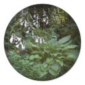 Fade to Black Round Stickers by eelkat Fade to Black Round Stickers